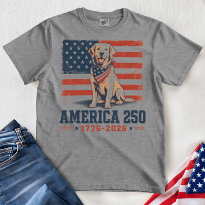 250 Golden T-Shirt