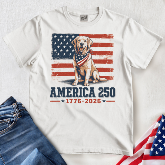 250 Golden T-Shirt